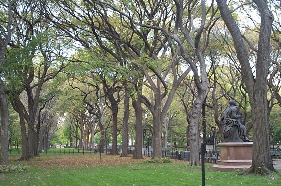 mr. burns says submit - so do the elms - the spooky spooky elms of autumn