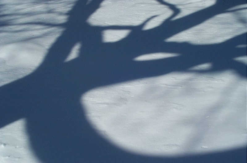 this shadow looks like the number seven, right? stare, stare, stare, then click it to submit