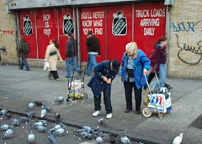 click here to feed the birds